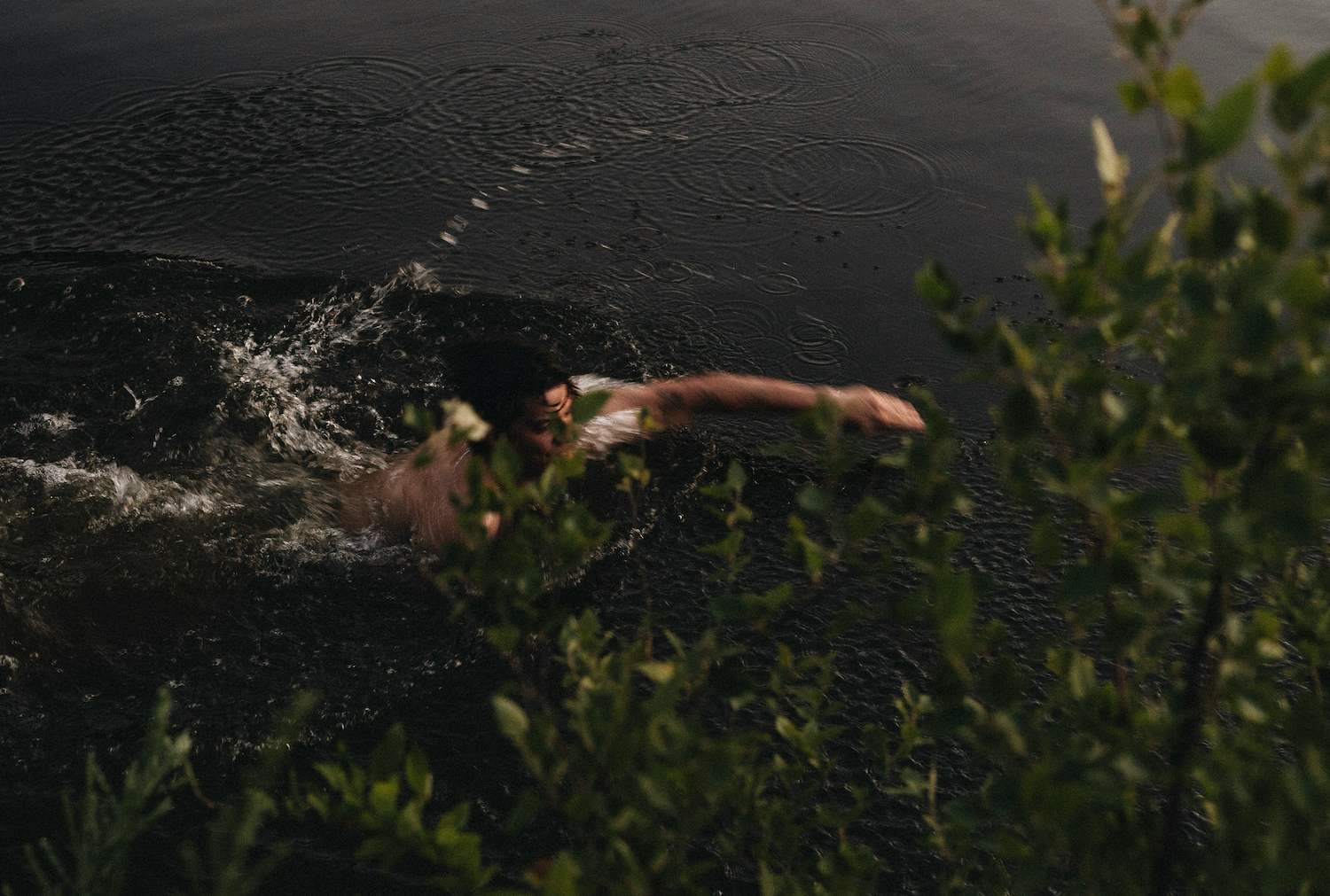 A man swimming in a pond.