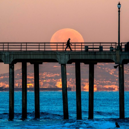 A man walking on a boardwalk in front of a super moon.