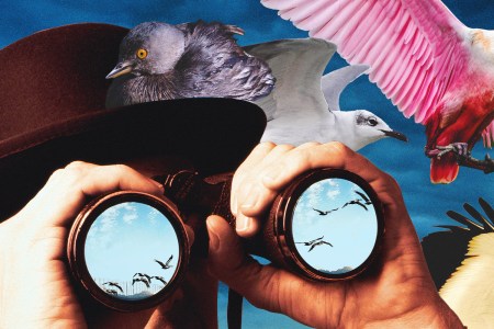 Real Men Bird Watch