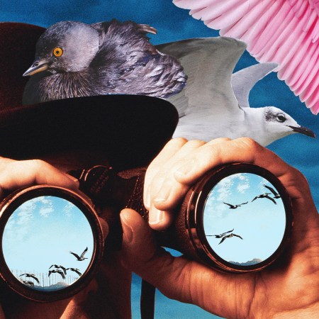 Real Men Bird Watch