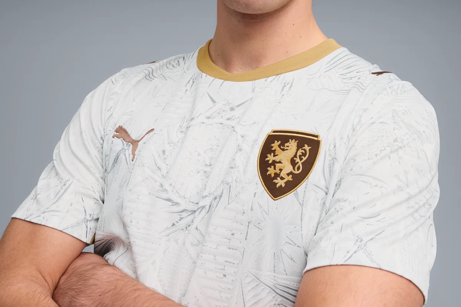 Czechia home kit