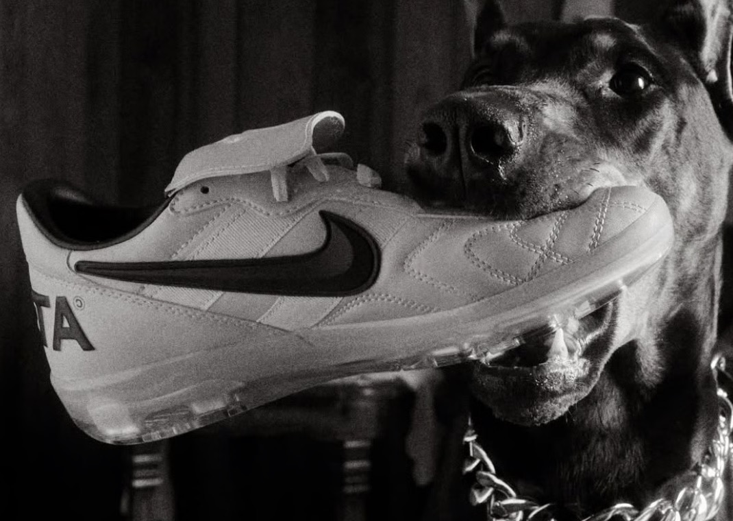 a dog holding a Nike x Nocta sneaker in it's mouth