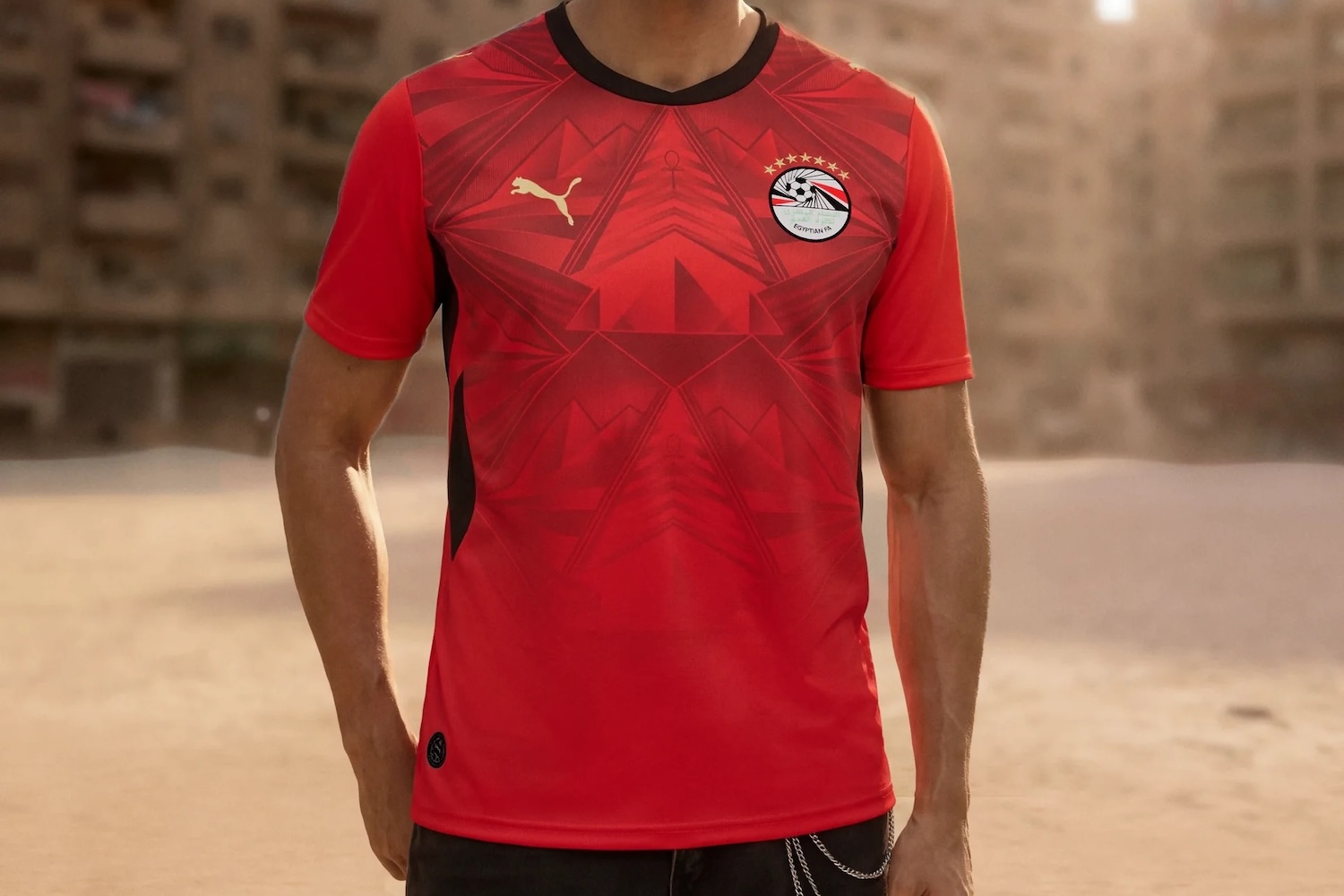 Egypt home kit