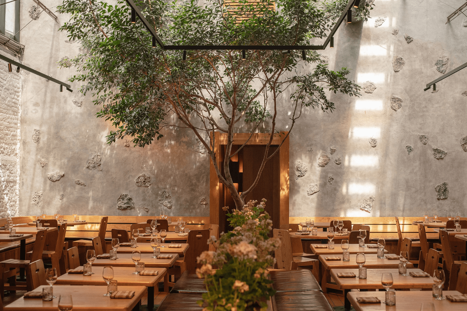 The dining room at Máximo, where a mature tree grows through an open skylight above rows of blond wood tables set with wine glasses and linen napkins, its canopy casting dappled shadows across rough volcanic stone-studded walls and a warm wooden bench lining the perimeter.