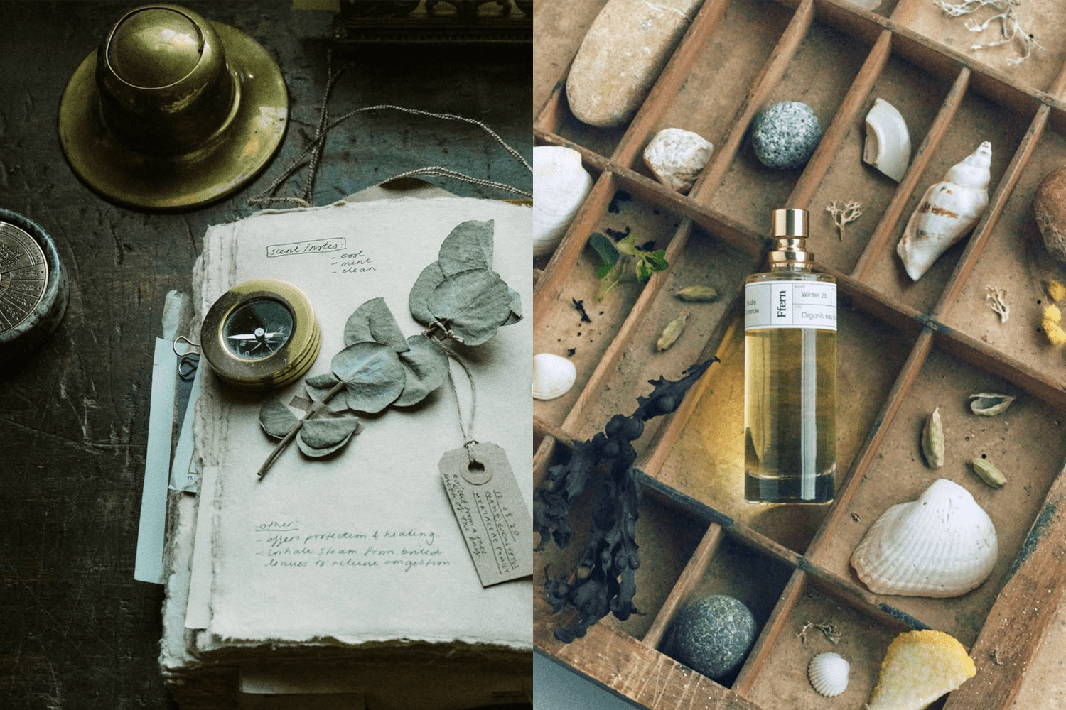 two lifestyle images of ffern