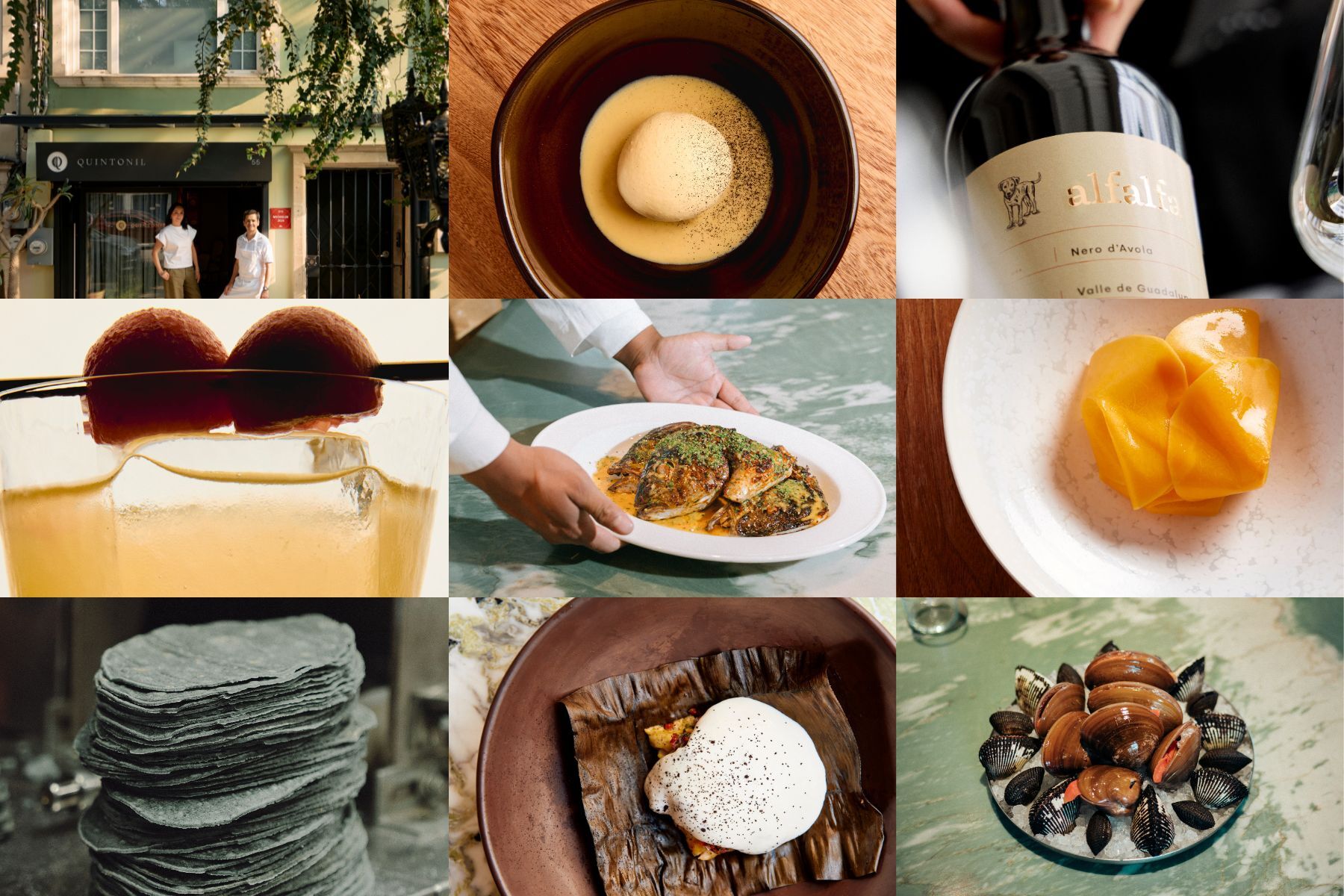 A collage of Mexico City dining highlights featuring Quintonil restaurant, fine-dining dishes, seafood, handmade tortillas, natural wine, cocktails and fresh shellfish.
