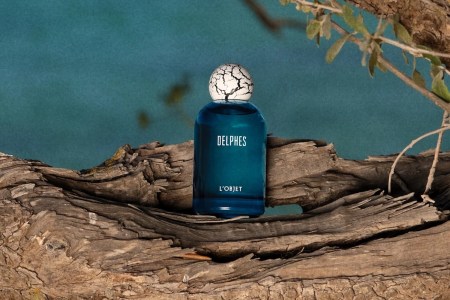 a blue bottle of cologne on a tree branch on the beach