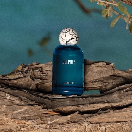 a blue bottle of cologne on a tree branch on the beach