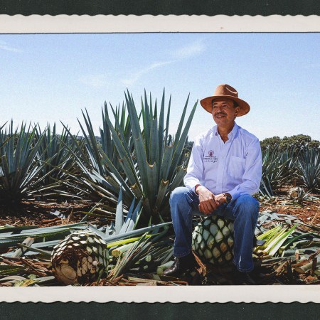 Tequila Ocho co-founder Carlos Camarena in an agave field