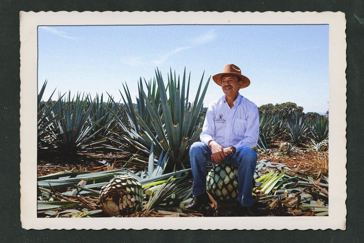 Tequila Ocho co-founder Carlos Camarena in an agave field
