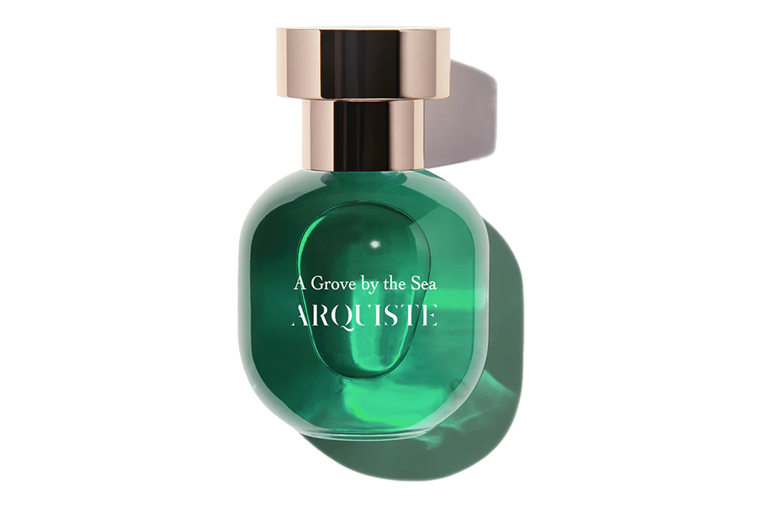 Arquiste A Grove by the Sea