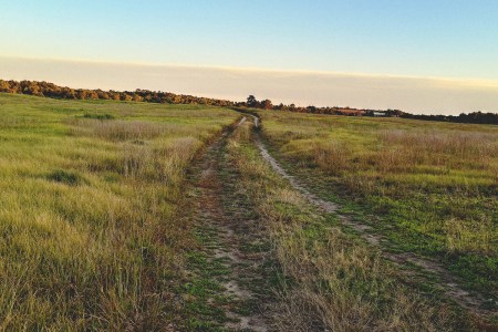 What I’ve Learned Running the Same Trails for 40 Years