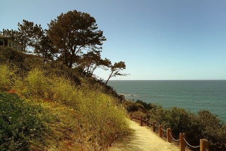Dirt path with a rope fence leading along a cliffside with green and yellow foliage, overlooking a calm blue ocean.